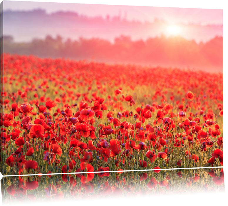 Pixxprint Mohnwiese im Sonnenschein, Leinwandbild