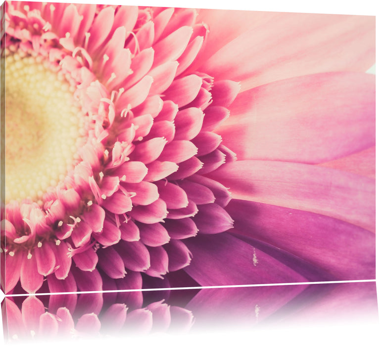 Pixxprint Wunderschöne Gerbera Blüte, Leinwandbild