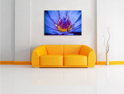 Exotische Lila Blüte Leinwandbild über Sofa
