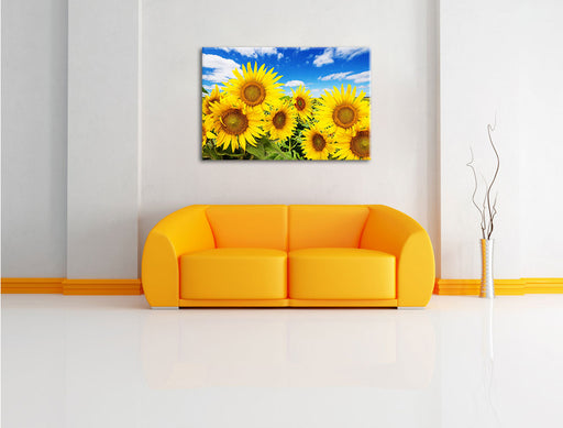 Sonnenblumenwiese unter Himmel Leinwandbild über Sofa