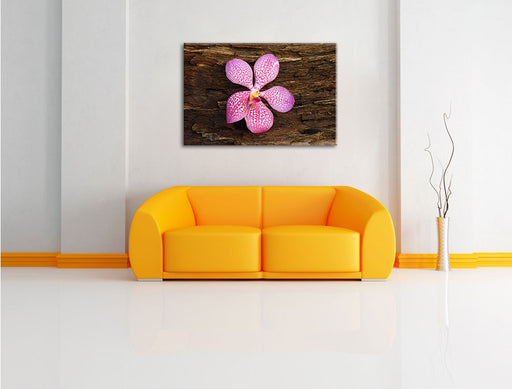 Orchidee Blüte auf Rinde Leinwandbild über Sofa