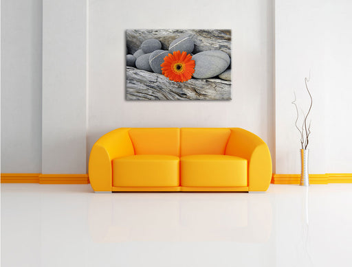 Gerbera zwischen Zen Steinen Leinwandbild über Sofa