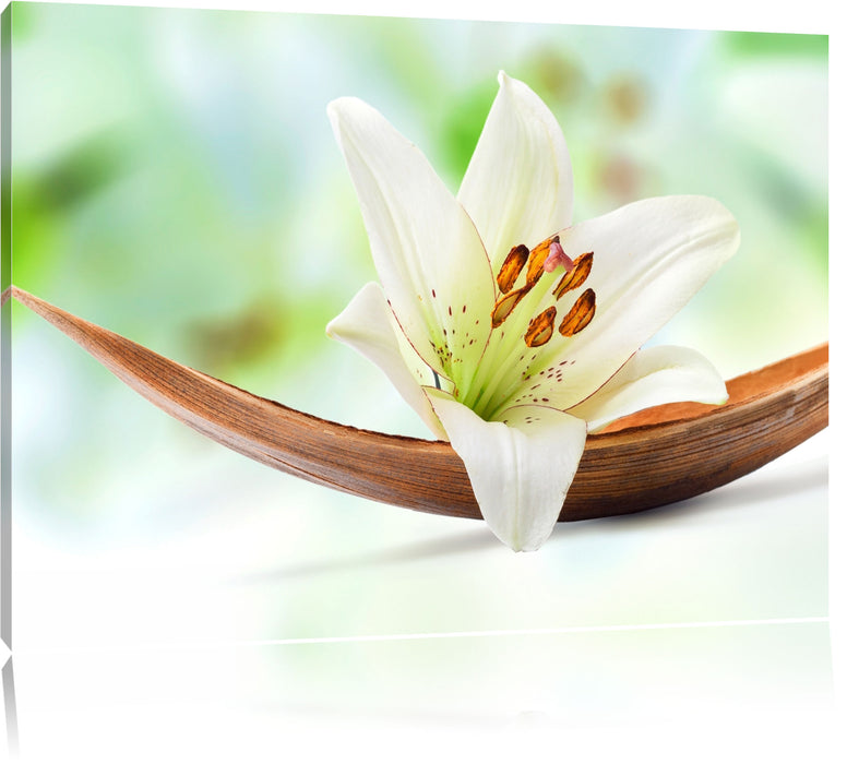 Pixxprint Lilie Blüte Bananenblatt, Leinwandbild