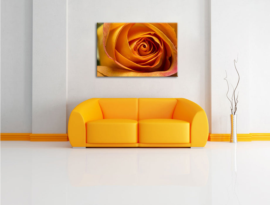 Anmutige gelbe geschlossene Rose Leinwandbild über Sofa