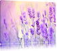 Lavendel im Retro Look Leinwandbild