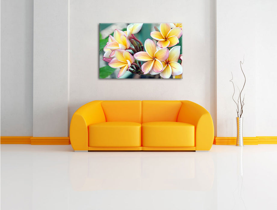 Monoi Blüten auf Hawaii Leinwandbild über Sofa