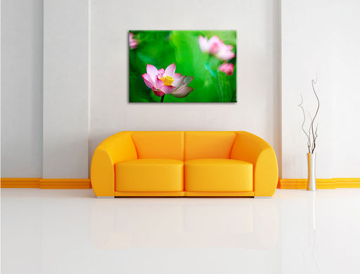 Wunderschöne Lotusblüten Leinwandbild über Sofa