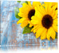 Sonnenblumen auf Holztisch Leinwandbild