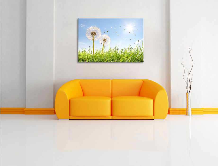 Pusteblumen auf Frühlingswiese Leinwandbild über Sofa