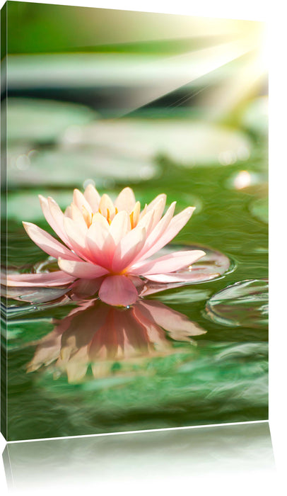 Pixxprint Seerose Wasseroberfläche, Leinwandbild