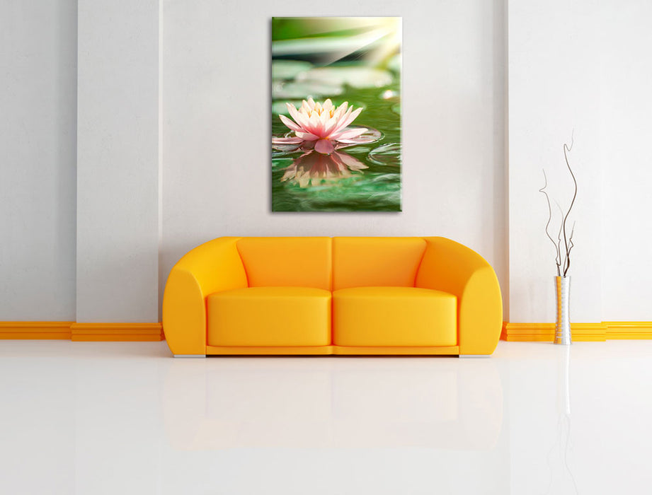 Seerose Wasseroberfläche Leinwandbild über Sofa