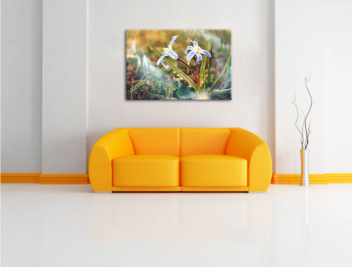 Kleine Lila Waldblume Leinwandbild über Sofa