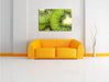 Grüner Kiwi Traum Leinwandbild über Sofa