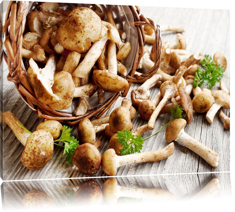 Pixxprint Pilzkörbchen auf Holz, Leinwandbild
