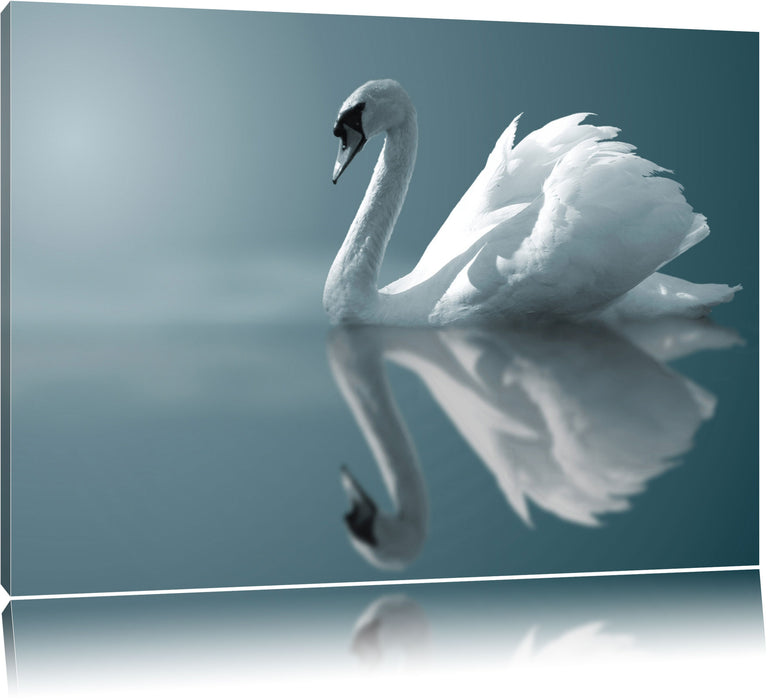Pixxprint Edler weißer Schwan auf See, Leinwandbild