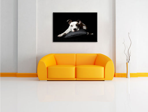 Dark Süßer American Staffordshire Leinwandbild über Sofa