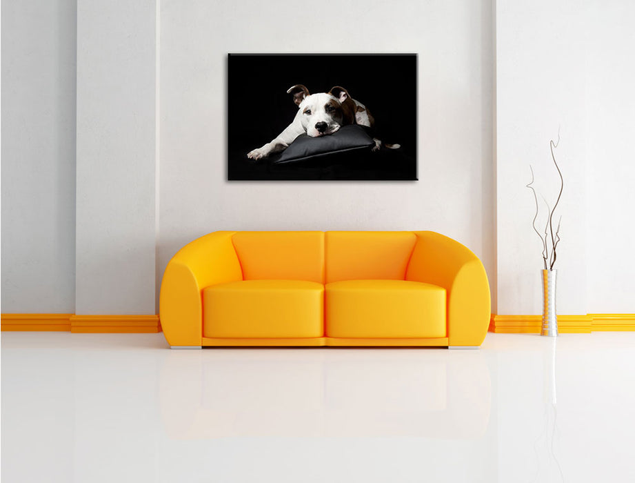 Dark Süßer American Staffordshire Leinwandbild über Sofa