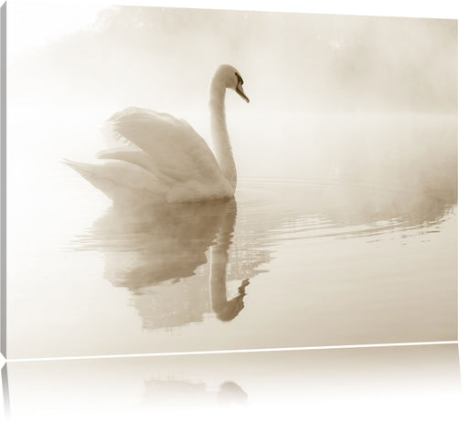 Schwan im Morgennebel Leinwandbild