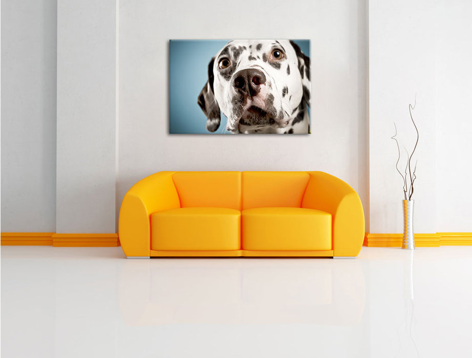 Süßer Dalmatiner Leinwandbild über Sofa