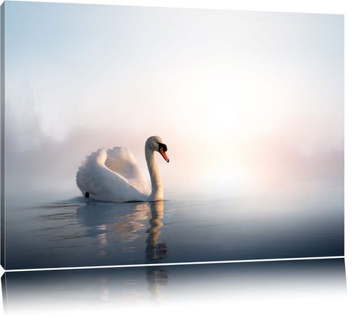 traumhafter weißer Schwan im See Leinwandbild