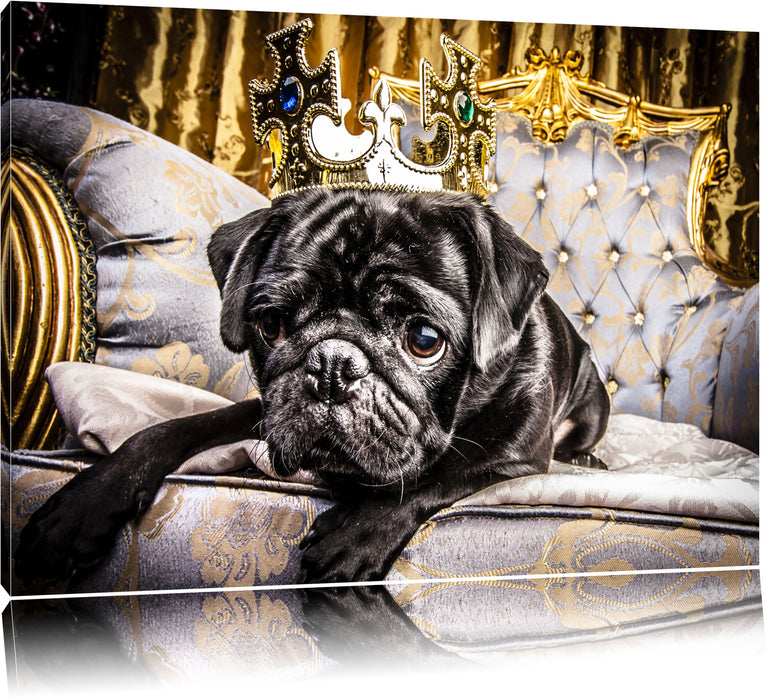 Pixxprint Süßer Mops auf dem Thron, Leinwandbild