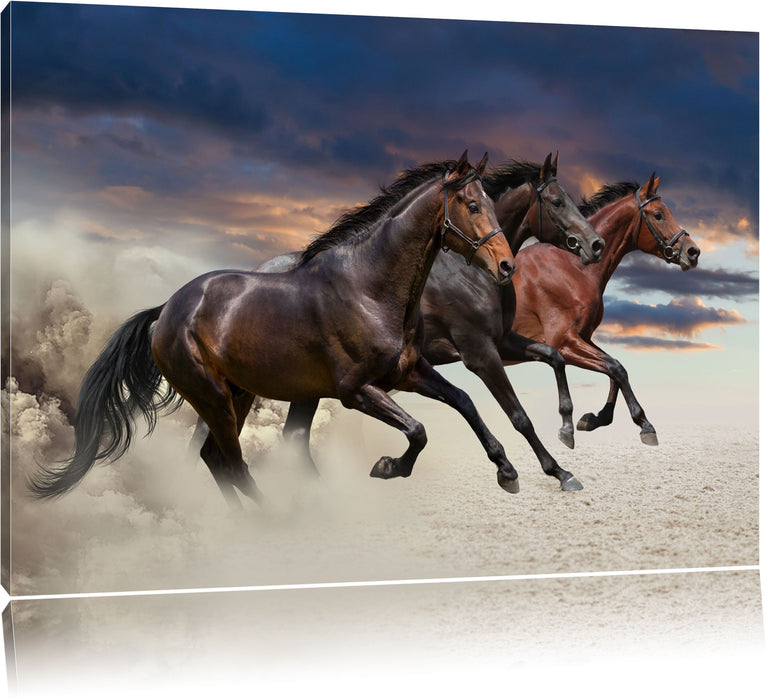 Pixxprint Drei wilde Westernpferde, Leinwandbild