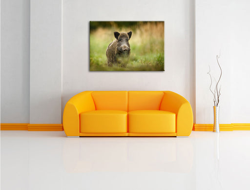 Stolzes Wildschwein im Wald Leinwandbild über Sofa