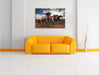 Wilde freie Pferde Leinwandbild über Sofa