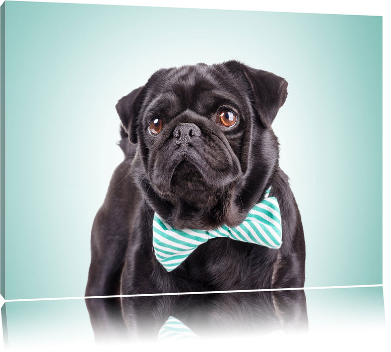 Pixxprint Lustiger Mops mit Fliege, Leinwandbild