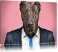 Manager Hund mit Anzug Leinwandbild