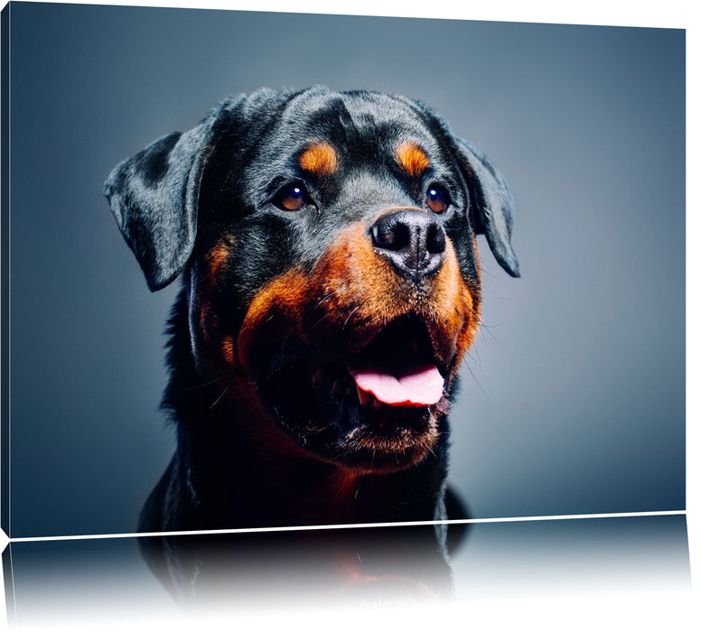 Pixxprint Treuer Rottweiler, Leinwandbild