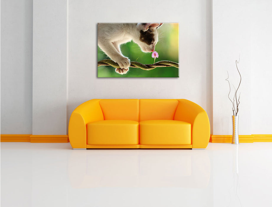 Süßes Käzchen mit Blüte Leinwandbild über Sofa