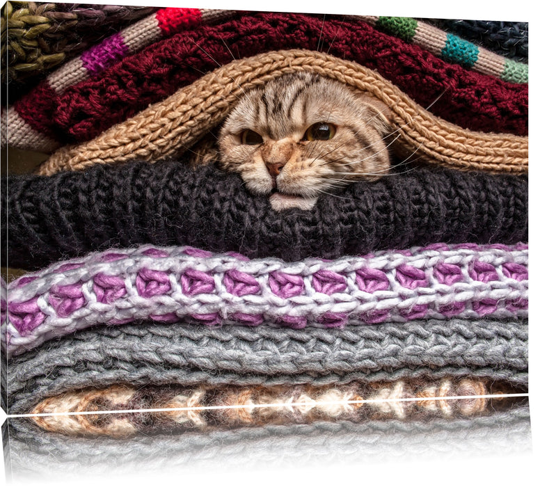 Pixxprint Katzen zwischen Pullovern, Leinwandbild