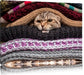 Katzen zwischen Pullovern Leinwandbild