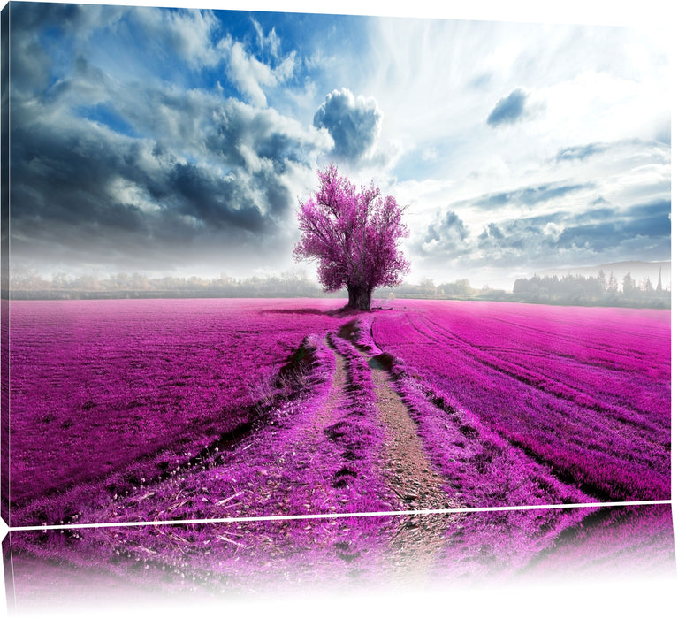 Pixxprint Pinkes Feld mit pinkem Baum, Leinwandbild
