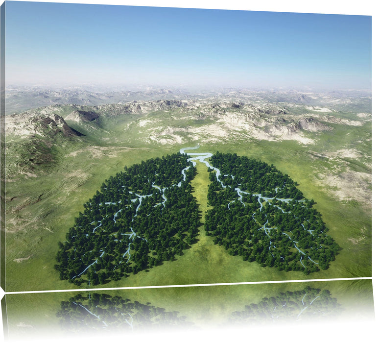 Pixxprint Grüne Lunge der Natur, Leinwandbild