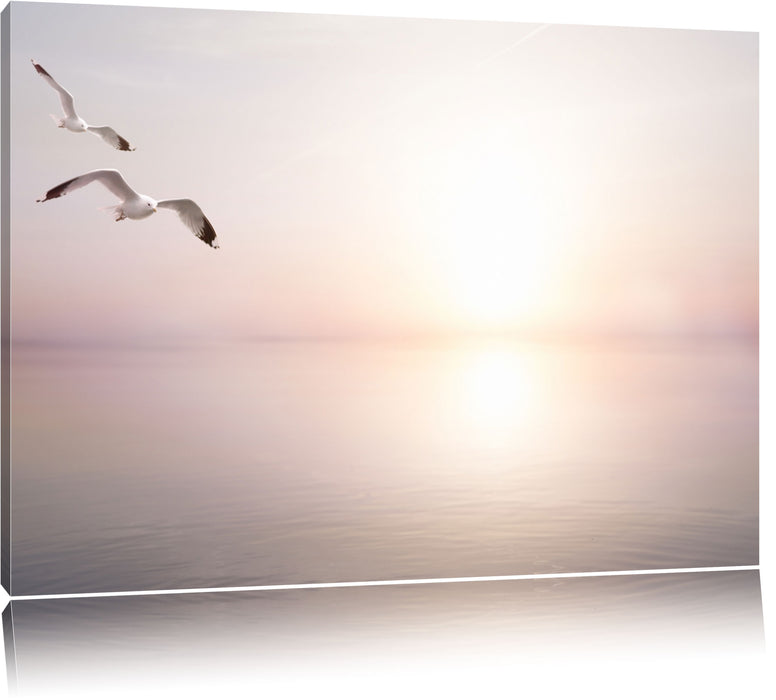 Pixxprint Möwen am Meer bei Sonnenaufgang, Leinwandbild