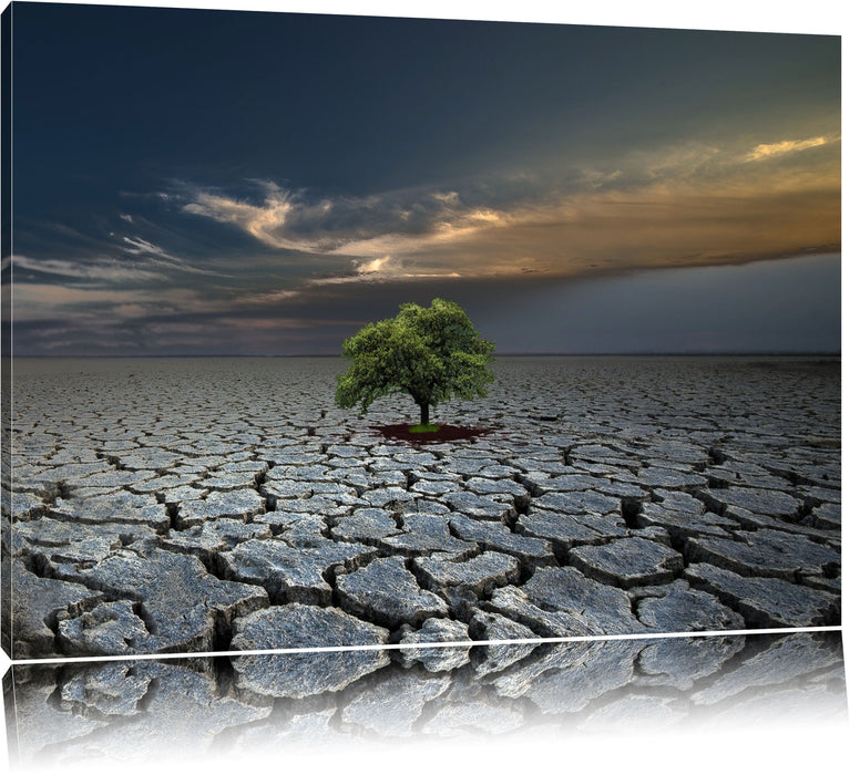 Pixxprint Der Baum im Boden, Leinwandbild