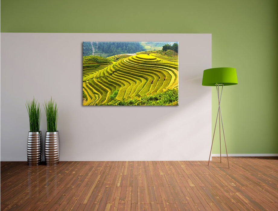 Reisplantagen Treppenfelder Leinwandbild im Flur