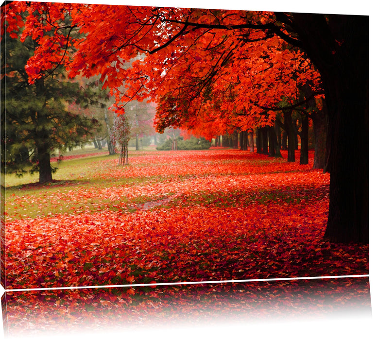 Pixxprint Rot gefärbter Park im Herbst, Leinwandbild