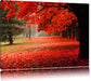 Rot gefärbter Park im Herbst Leinwandbild