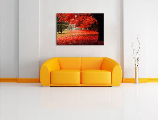 Rot gefärbter Park im Herbst Leinwandbild über Sofa