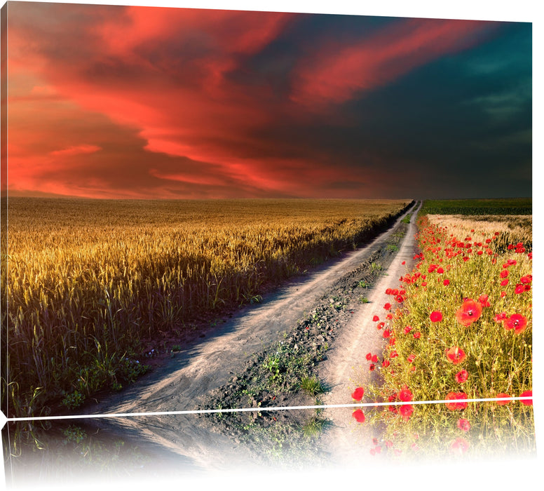 Pixxprint Getreidefeld mit Mohnblüten, Leinwandbild