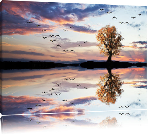 Baum spiegelt sich im Wasser Leinwandbild