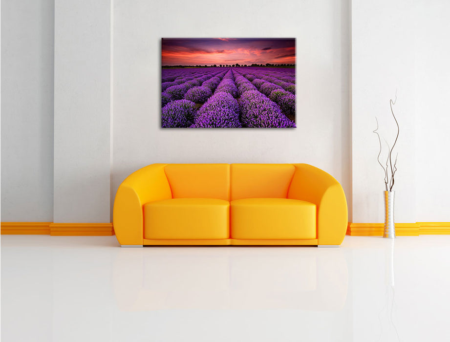 Lila Lavendel Provence Leinwandbild über Sofa