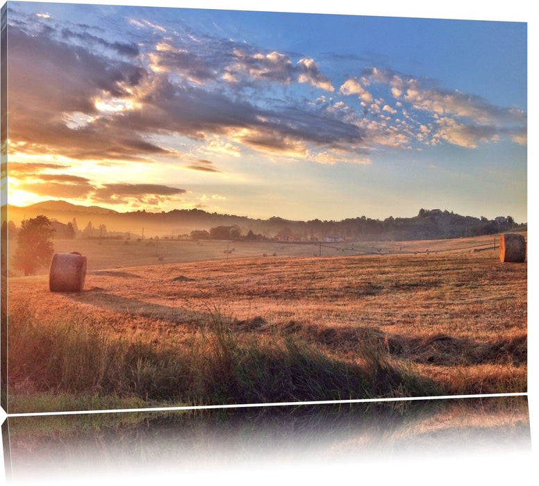 Pixxprint Getreidefeld im Abendlicht, Leinwandbild
