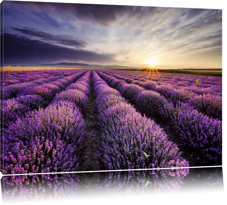 Pixxprint Lavendel Provence Landschaft, Leinwandbild