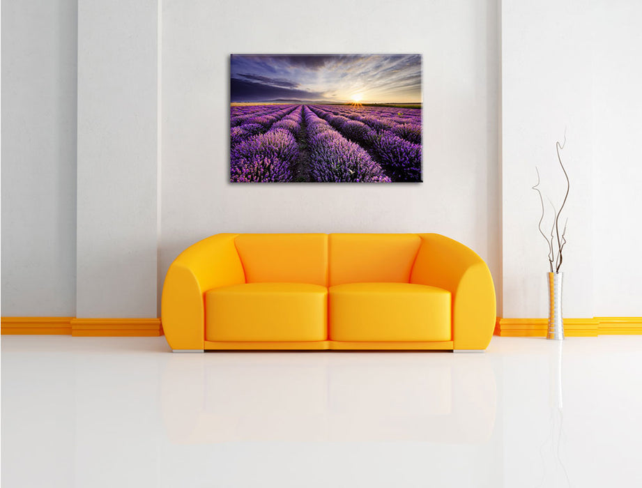 Lavendel Provence Landschaft Leinwandbild über Sofa