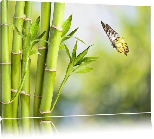Bambus mit Schmetterling Leinwandbild