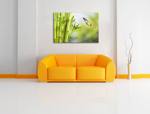 Bambus mit Schmetterling Leinwandbild über Sofa